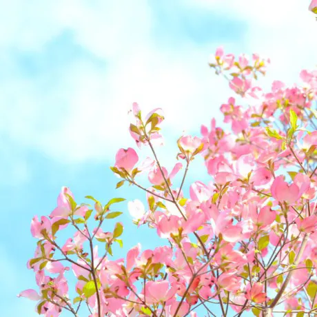 おはようございます/ゆりか