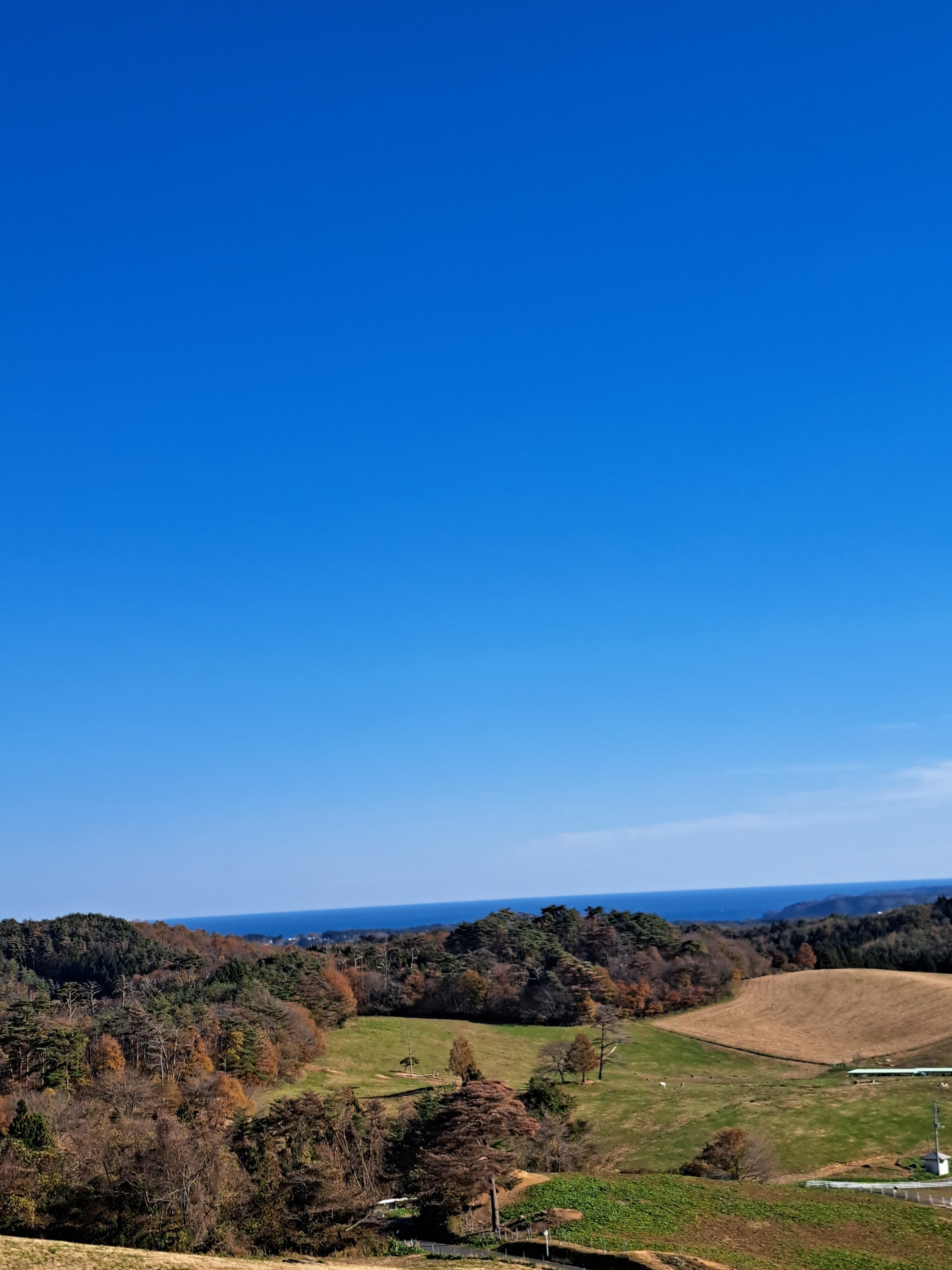 1週間の出勤予定🔥
