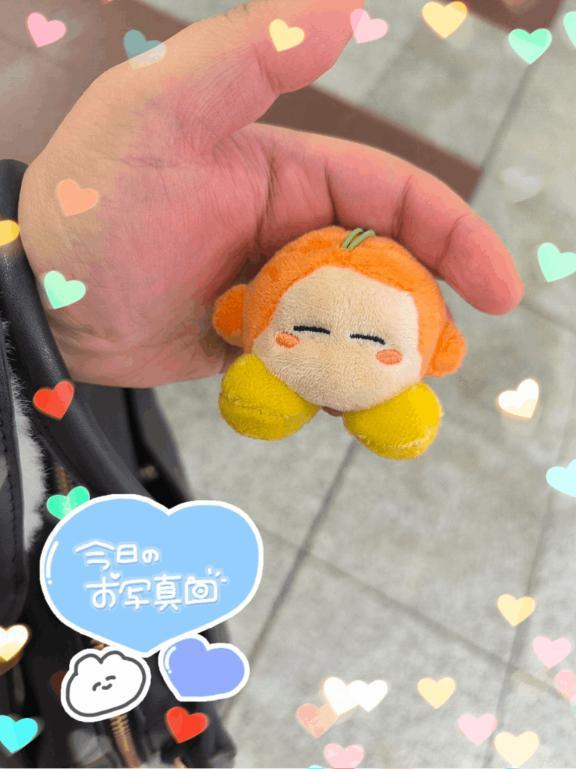 こんにちワドちゃん🧡