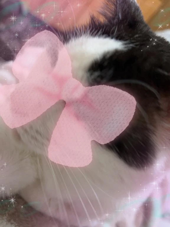 お礼🫧3/8.15本指げんちゃん🫧