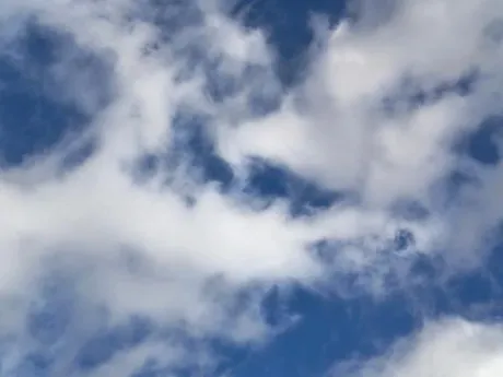 ありがとう