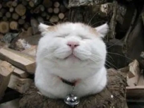 クレハ人妻生レンタルーNTRー