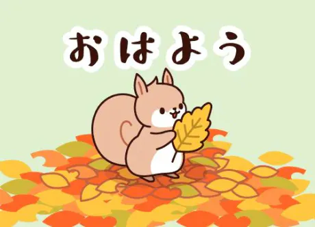 久美子マダム DOLCE