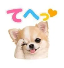 キュンキュン🌈🌈/華恵-はなえ-