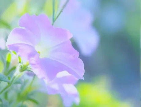 訂正/ゆりか