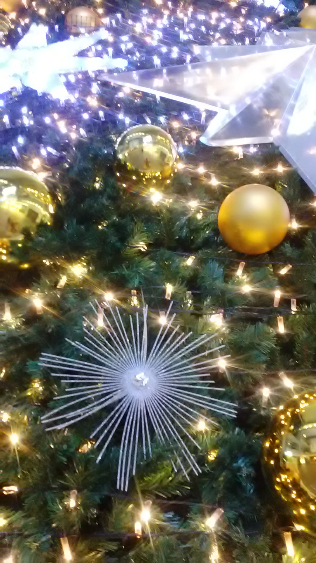 こんばんはです。