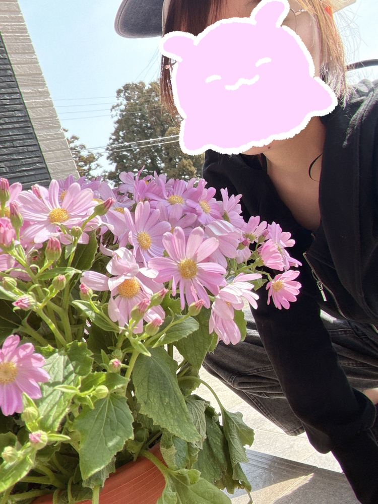 綺麗だよね ✨💜