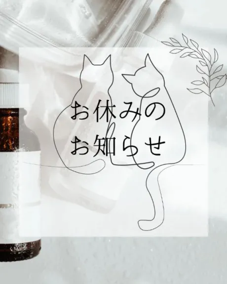 さくら白いぽっちゃりさん-仙台店-