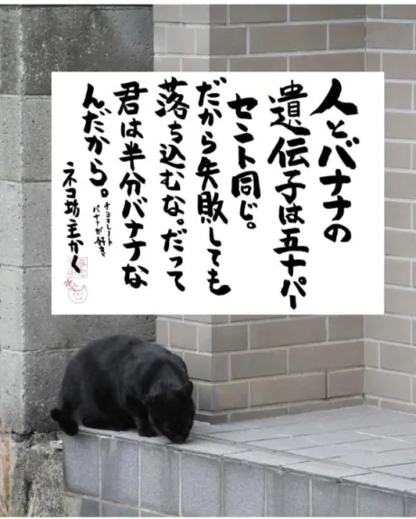 シオン人妻生レンタルーNTRー