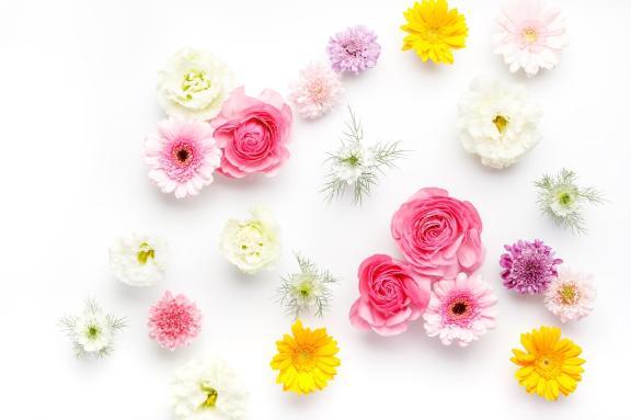明日14時からご予約の紳士様♡