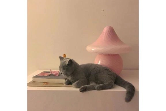 次回♡