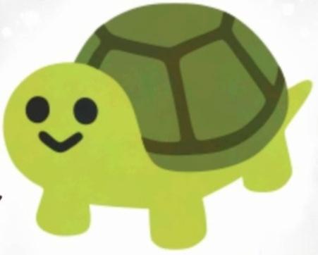 🐢