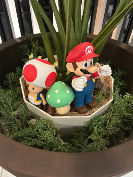 ホテルにマリオ⁉️