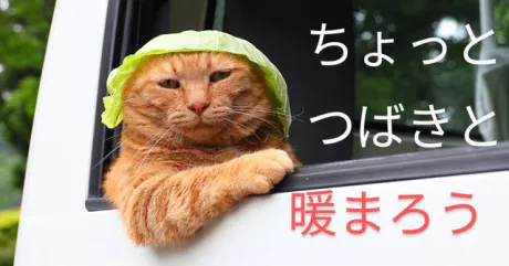 つばき【青森】嗚呼45歳以上 青森店
