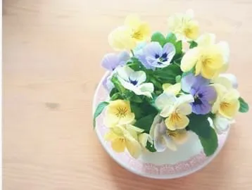 この後/【人妻コース】ちさと