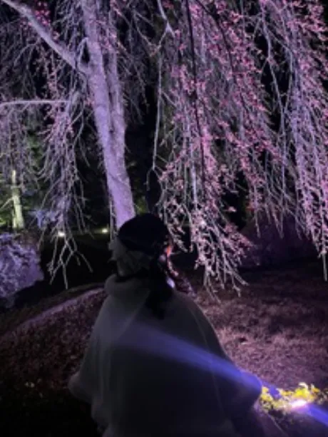 ヒナミ【弘前】距離感近めでねDINO～ディーノ～