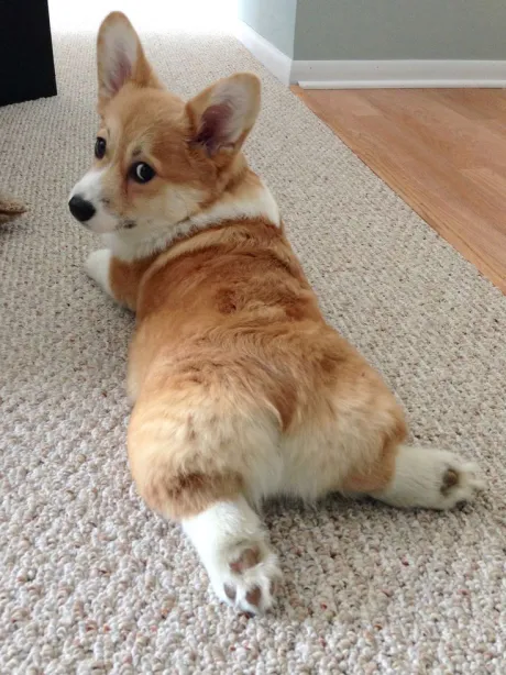なおのブログ おはよう ( * ・ω・) ノ