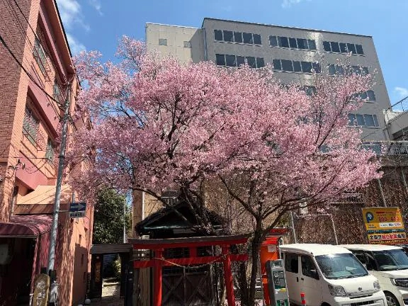 みか☆変態さん大好きM女♡隣の人妻お口で愛して