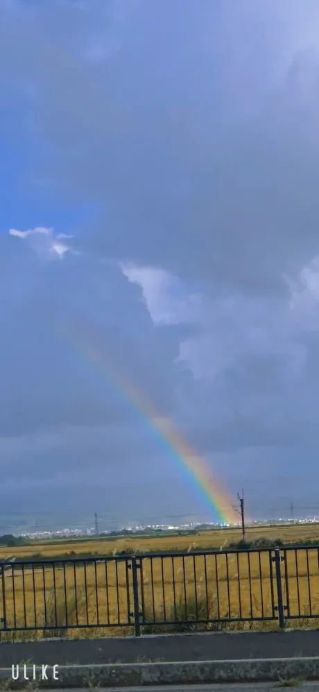 いつぞやの/りりい[弘前]