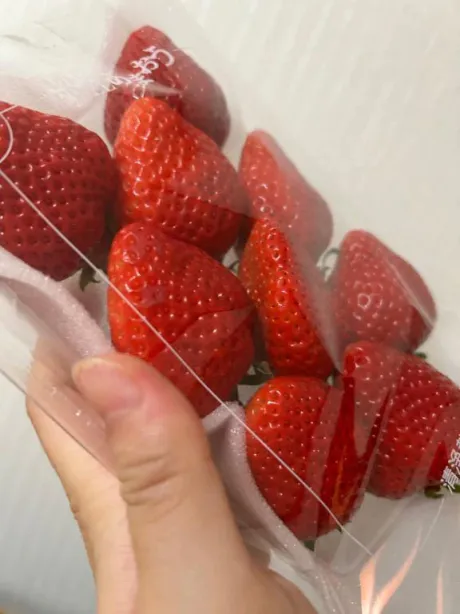 なぎさREGALO 久留米店