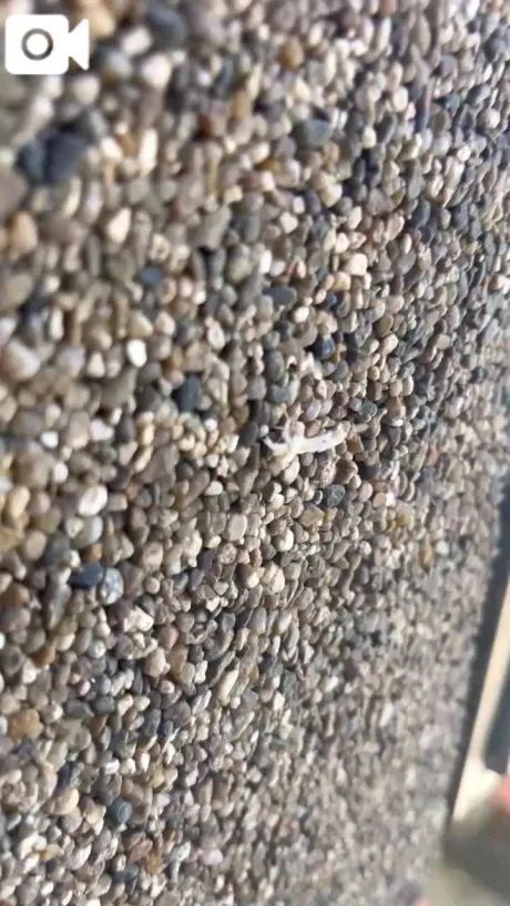 新種⁉️👀⁉️/愛（あい）