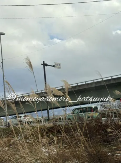 初雪☆青森青森･弘前人妻デリヘル桃屋