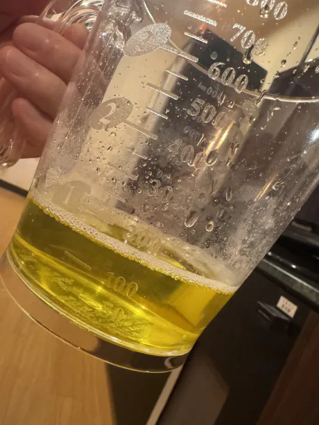 S嬢・空条レナフェティッシュDOLCE