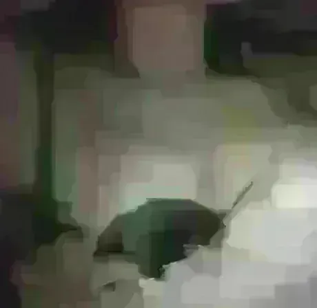 久しぶりだよ