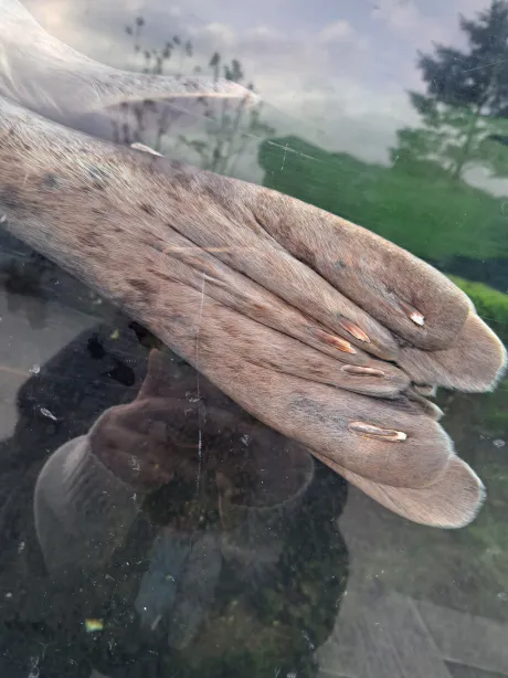 今、お店にいます！/ちひろ（気仙沼）〔即プレイＯＫ〕