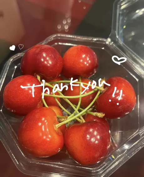 コトネクリエーション