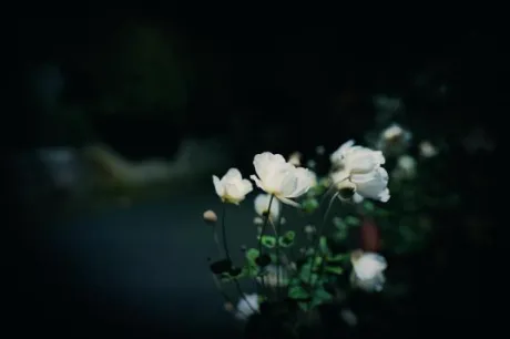 好きな時間🌃/新人　さよ