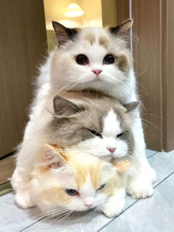 出勤しました♡お誘い受付中♡