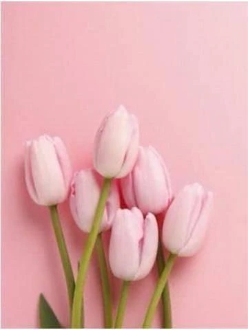 野々花の特技🥺❤️