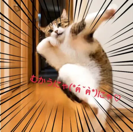 みずほ　奥様SUTEKIな奥様は好きですか？