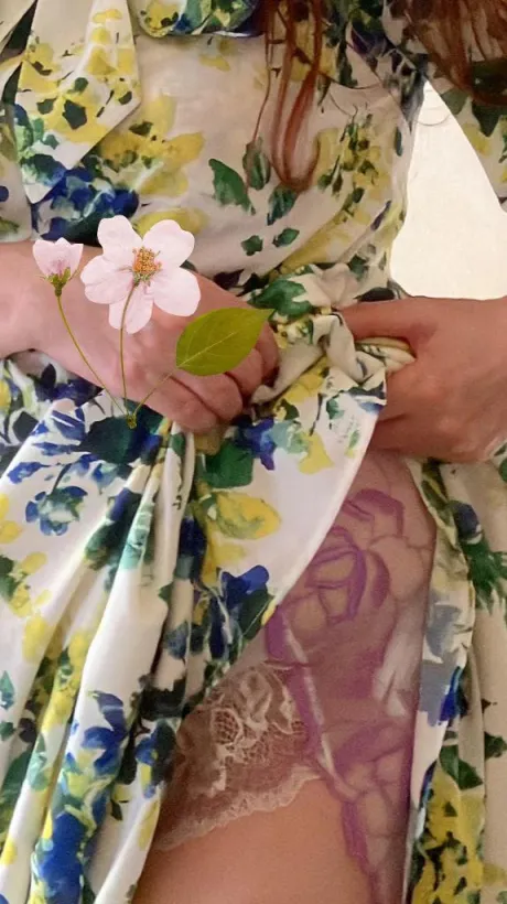 かよこおばさんの店