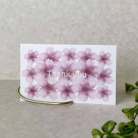 お礼/はるな【青森大釈迦】