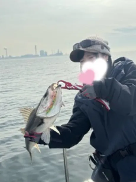 ツムギ【青森】身体弄んでみる？DINO～ディーノ～