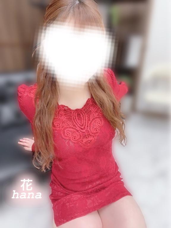 性欲が強くて変態で‥♡🌻