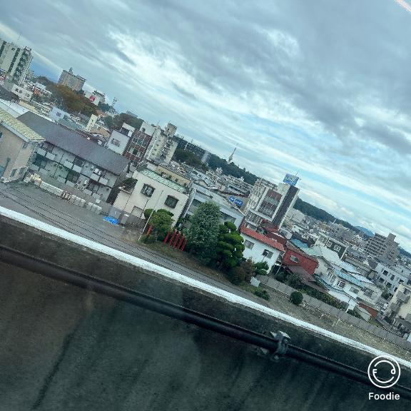初めて見た時はちょっと感動した🐈