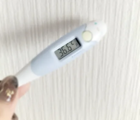 🍀🍀🍀/さな【弘前黒石大釈迦】