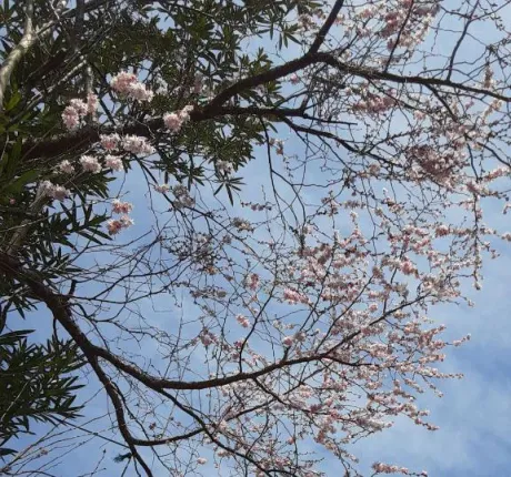 ゆこおばさんの店　仙台FC