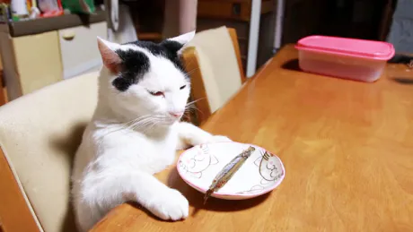 みき63歳【青】熟女専門店