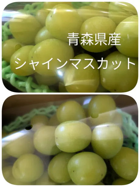 みこさん[青森]のブログ オーナー様から差し入れ 