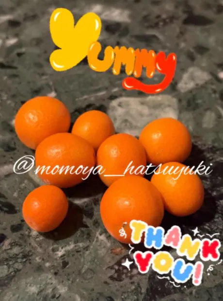 初雪☆青森のブログ ❤️本日出勤❤️青森店🍑3/4まで