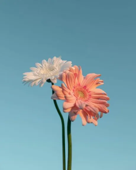 みお弘前黒石ちゃんこ