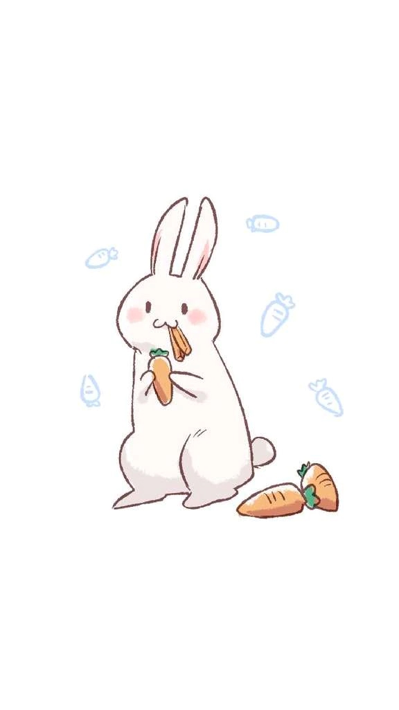 久美子マダム DOLCE