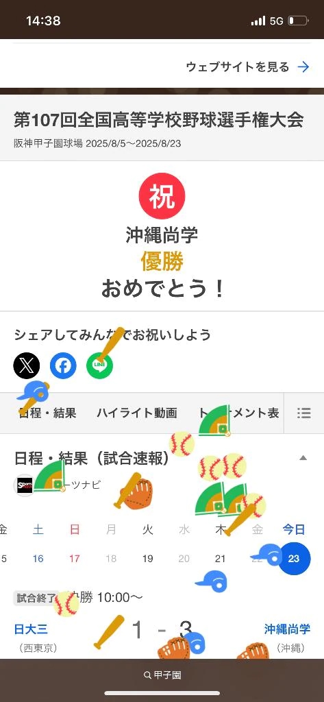 甲子園⚾️✨