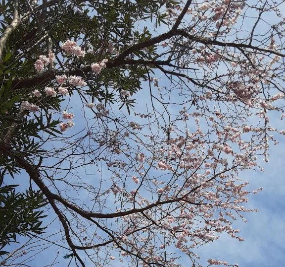 あっ、そぅそぅ🌸昨日ねぇ～