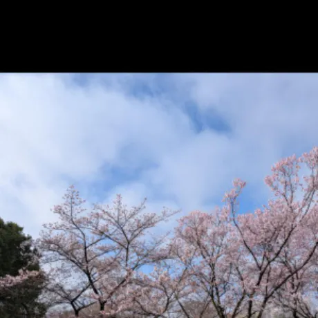 メンタル/えみり 奥様