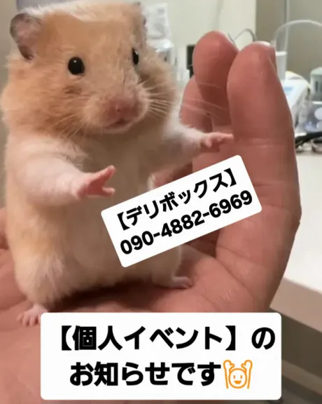 めい (魅惑のEカップ、パイパン嬢)デリボックス